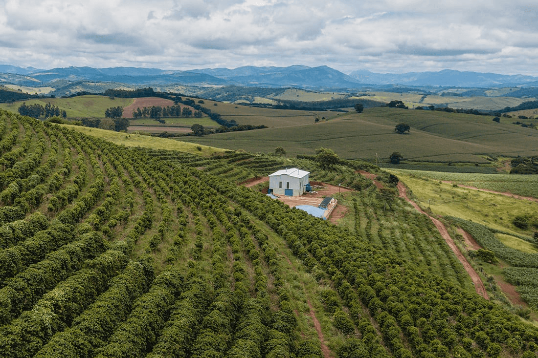 Rwanda Agricultural Modernization